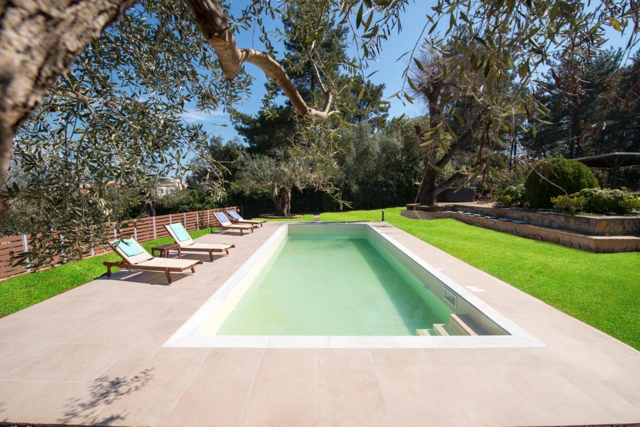 Spyrelia Villa With Private Pool & Outdoor Hot Tub Dassia  Luaran gambar